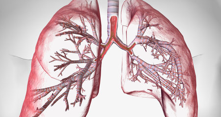 Cystic fibrosis is a genetically inherited disease that affects secretory cells throughout the body. 3D renderingの写真素材