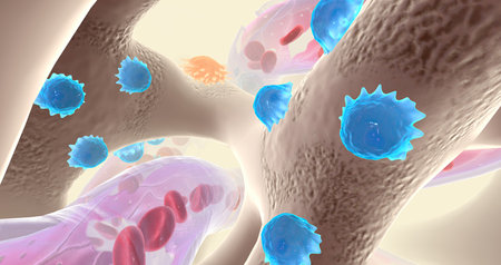 Specialized cells called osteoblasts deposit bone tissue 3D renderingの写真素材