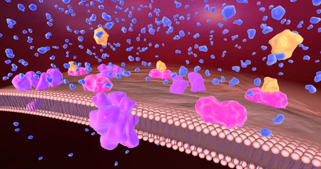 Patients with diabetes have significantly reduced insulin production leading to hyperglycemia. 3D renderingの写真素材