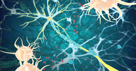 Remyelination is the phenomenon by which new myelin sheaths are generated around axons in the adult central nervous system 3D renderingの写真素材