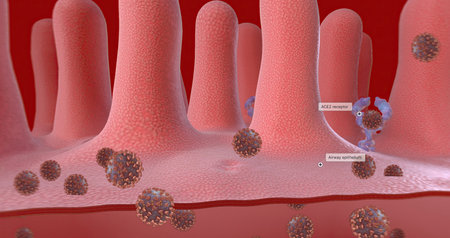 Once inside the cell, the virus is released from the outer membrane from the cell surface. 3D renderingの写真素材