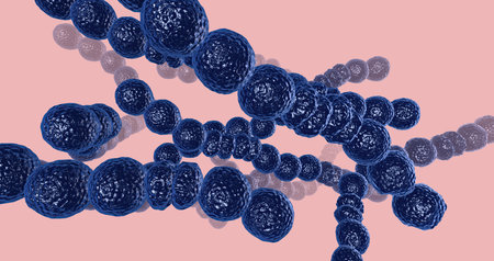 The Strep Throat, Bacterial Infection 3D rendering .の写真素材