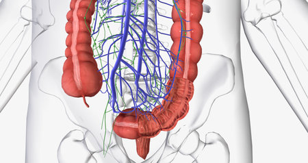 Colorectal cancer (CRC) is a common colon or rectal cancer that affects many patients over middle age. 3D renderingの写真素材