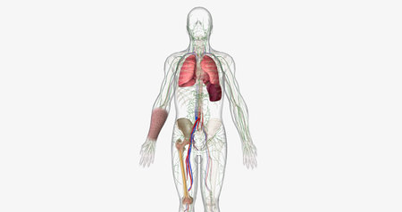 The CML, Signs and Symptoms 3D renderingの写真素材