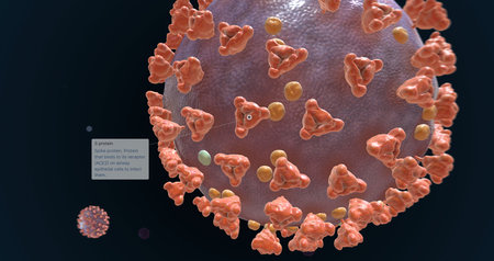 The SARS CoV-2 S Protein 3D rendering
