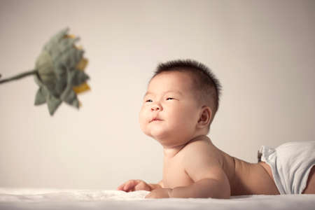 A baby looking at a sunflowerの写真素材