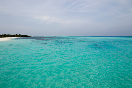 Portrait of Maldives Beach high quality photoの写真素材