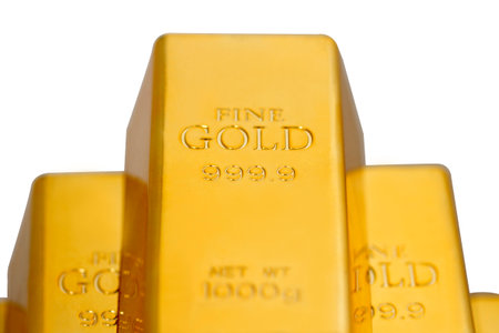 Portrait of the Bullion high quality photoの写真素材