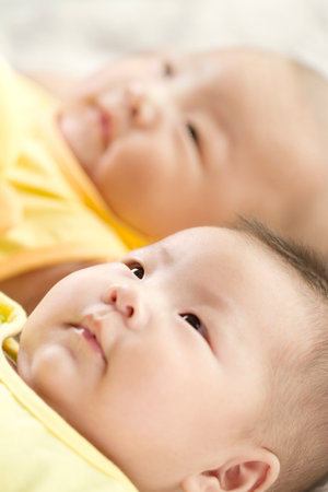 portrait of Twins baby high quality photo