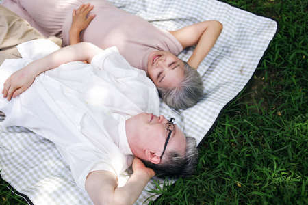 Happy old couple resting on the park grass high quality photo