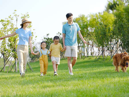 Happy family of four walking dogs in the park high quality photoの写真素材