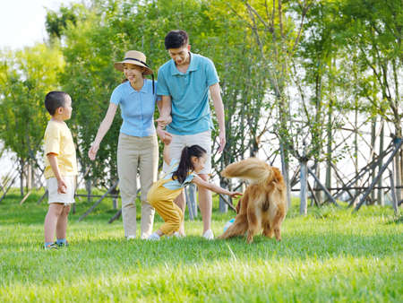 Happy family of four and pet dog playing in the park high quality photoの写真素材