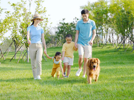 Happy family of four walking dogs in the park high quality photoの写真素材