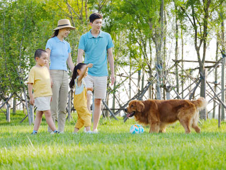 Happy family of four and pet dog playing in the park high quality photoの写真素材