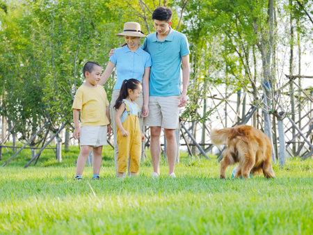 Happy family of four and pet dog playing in the park high quality photoの写真素材