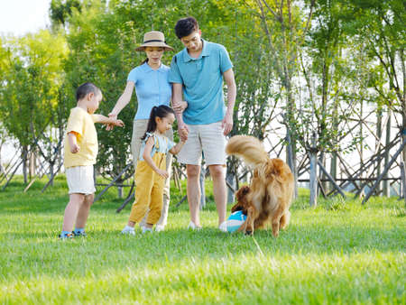 Happy family of four and pet dog playing in the park high quality photoの写真素材