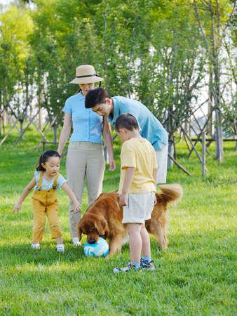 Happy family of four and pet dog playing in the park high quality photoの写真素材