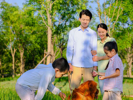 Happy family of four and pet dog playing in the park high quality photoの写真素材