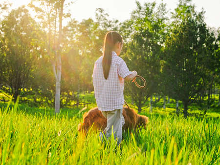The happy little girl walks her dog in the park high quality photoの写真素材
