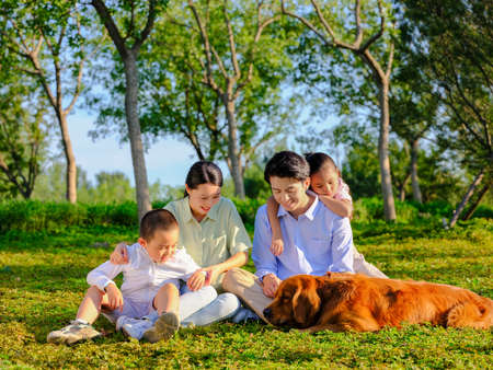 Happy family of four and pet dog playing in the park high quality photo