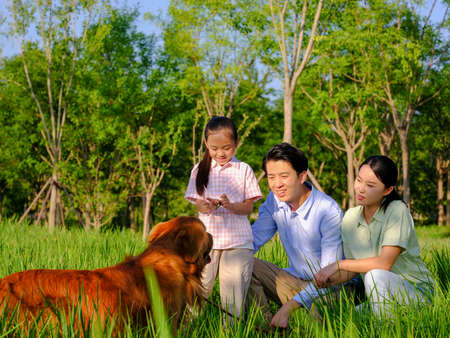 Happy family of three and pet dog playing in the park high quality photoの写真素材