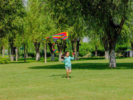 The happy little girl is flying a kite in the park high quality photoの写真素材