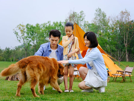 Happy family of three and dog camping out high quality photoの写真素材