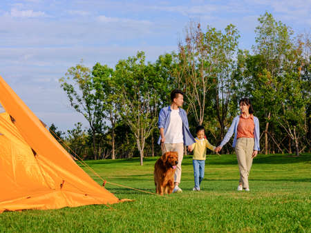 A happy family of three walking dogs in the park high quality photoの写真素材