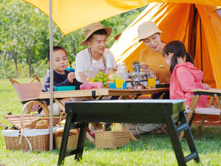 A happy family of four having a picnic outdoors high quality photoの写真素材