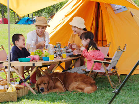 Happy family of four and pet dog have a picnic outdoors high quality photoの写真素材