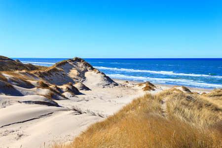 The dunes near Skagen are wonderful, wild natureの写真素材