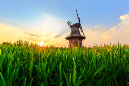 The Holtlander mill in Holtland near Hesel, East Frisiaの写真素材