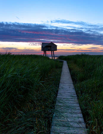 A wooden house for birdwatching on the border of Germany and Netherlands near Nieuwe Statenzijlの写真素材
