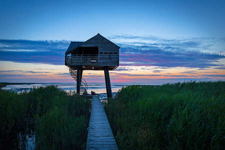 A wooden house for birdwatching on the border of Germany and Netherlands near Nieuwe Statenzijlの写真素材
