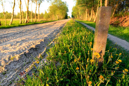A sand road to the Lengener Meer near Uplengenの写真素材