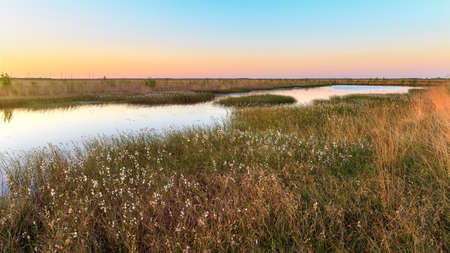 Sunset at the Moorerlebnispfad Stapeler Moor near Uplengenの写真素材