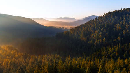 The palatine forest near the city Dahn