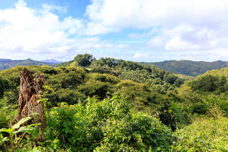 Cuba is the largest island in the Caribbean, with an area of 109,884 square kilometres, and the second-most populous after Hispaniola, with over 11 million inhabitants.の写真素材