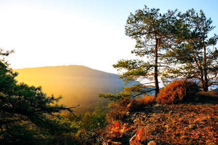 Sunrise in the Dahner Felsenland in the palatinate forest