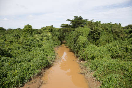 View from a bridge into the cuban jungle near Minas de Matahambre