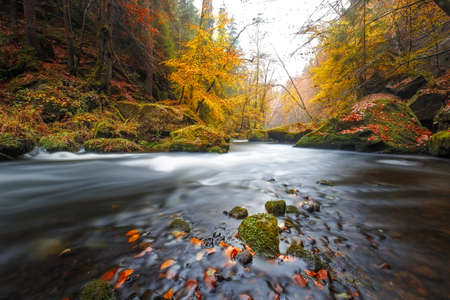 The Kamnitz Gorge in Saxon switzerland national parkの写真素材