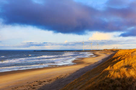Dunes at Hvide Sande beachの写真素材