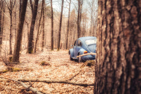 An old Beetle parking in a forest near Trippstadtの写真素材