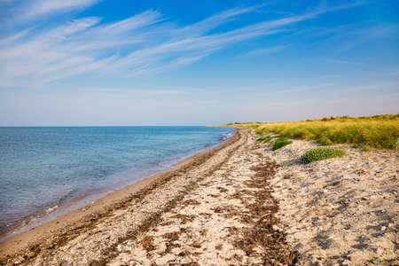 The beach on the danish peninsula Hyllekrog on the island Lollandの写真素材