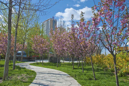 Life under the blue sky white cloud Apartmentsの写真素材