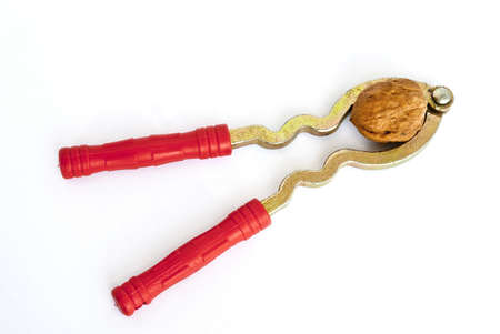 A clip dedicated to the folder walnutの写真素材