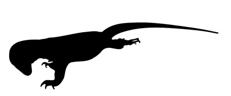 Vector graphic outline of an Indonesian water monitor.のイラスト素材