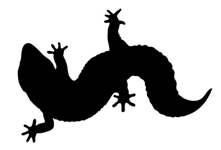 Vector graphic outline of a leopard gecko.のイラスト素材