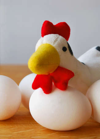 Hen with eggsの写真素材