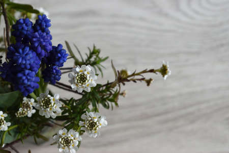 Bouquet of flowers.の写真素材